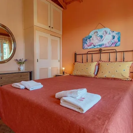 Spiros Amazing House *